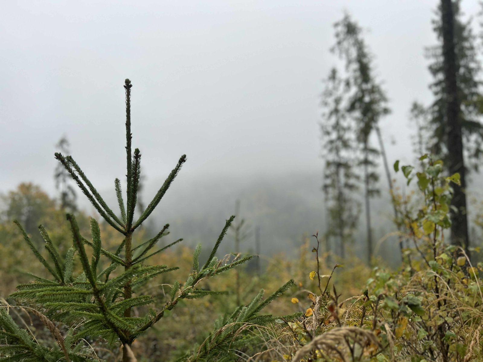 365313d8-de81-4c02-836e-4fbc9543139a