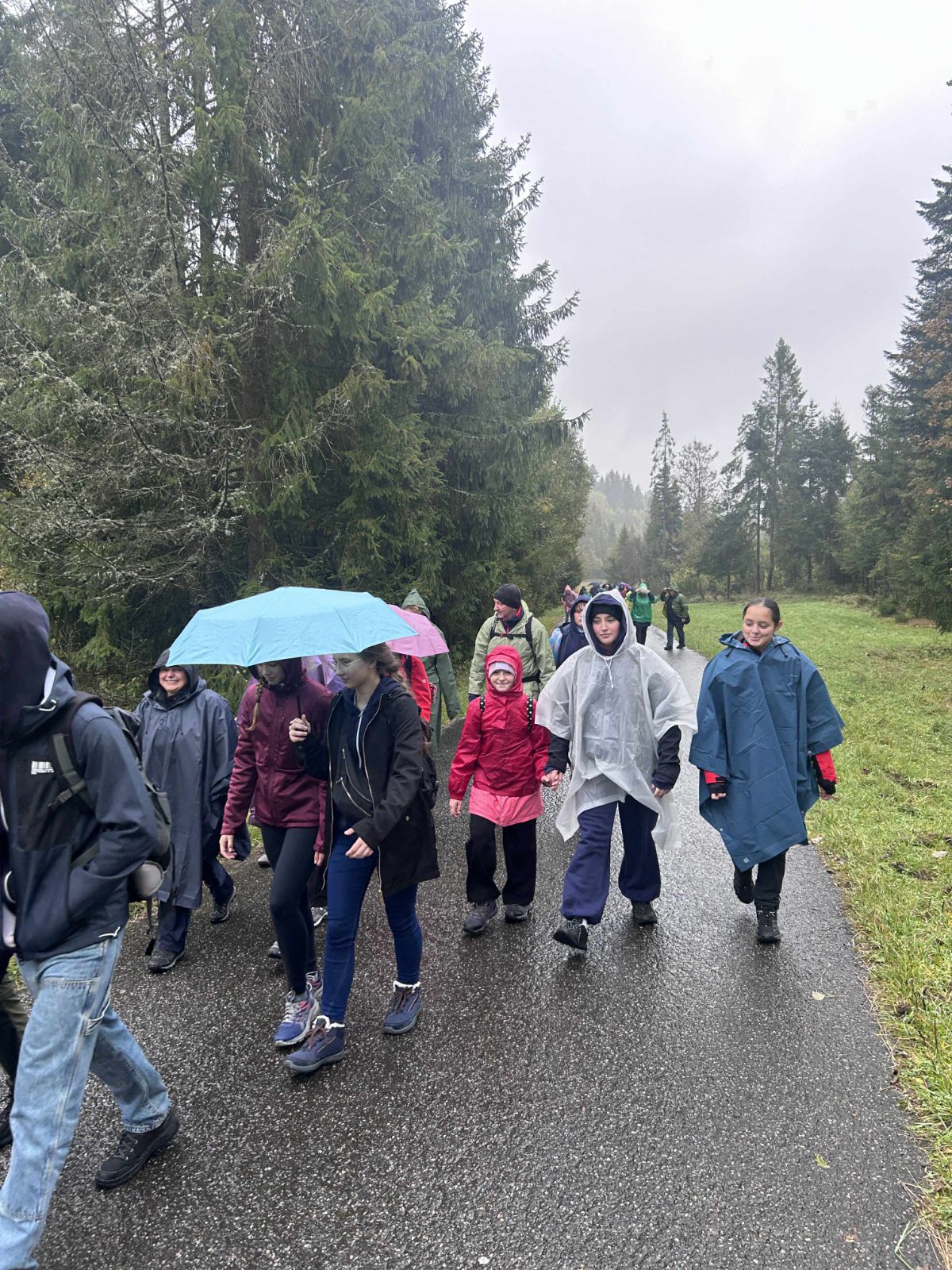 9f0aeaec-ad01-49ea-ab83-488da546acfc