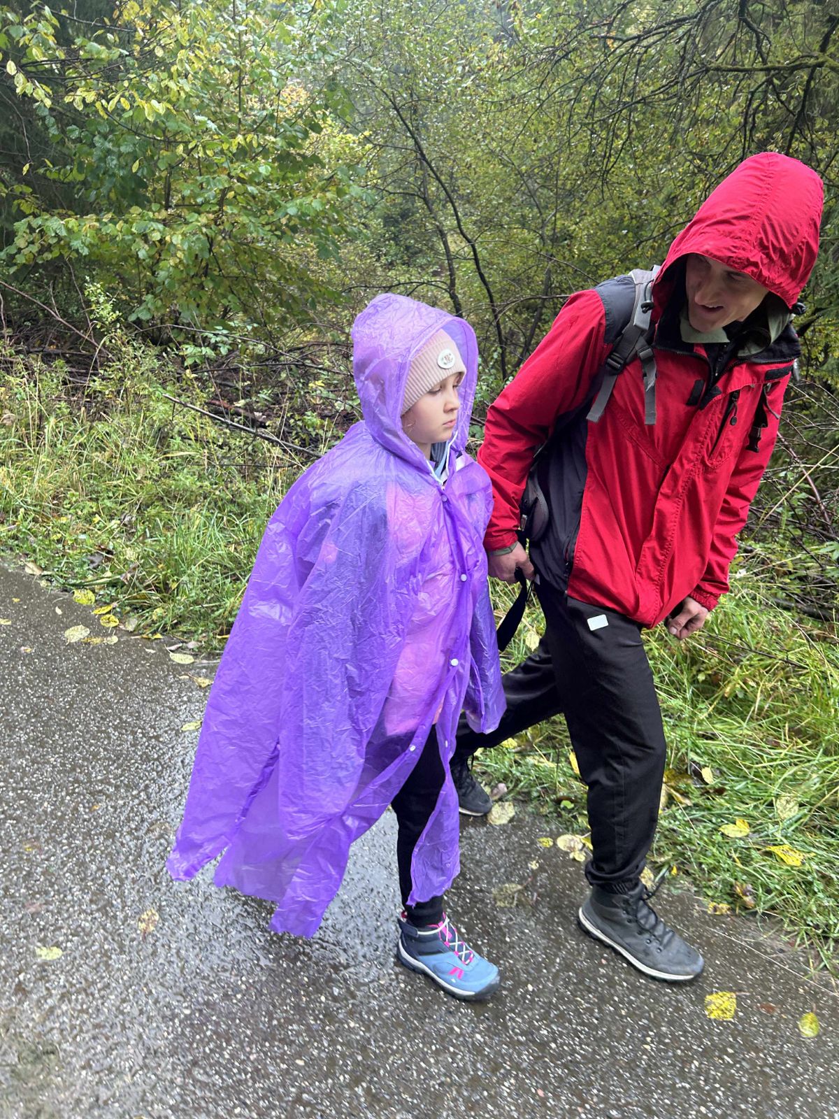 f577b6de-9e0d-4333-9a70-8381f6c73a3b